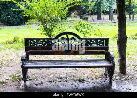 Lonely bench in Cismigiu Park, Bucharest, Romania Stock Photo