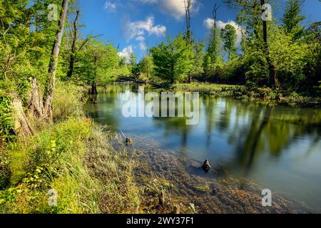 'Blue Hole Springs at Florida Caverns State Park, where still waters reflect the lush green foliage under a canvas of clouds and a vast blue sky' Stock Photo