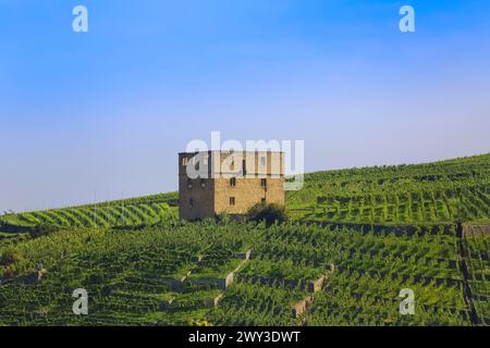 Yburg, Y-Burg, Yberg, Eibenburg, ruins of a hillside castle, historic building, built in the early 14th century, excursion destination, vineyard Stock Photo