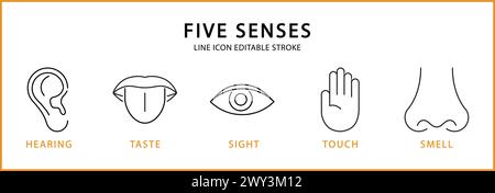 Five Senses Icons. Five senses icon set. Five senses Line Icons. Vector Illustration. Editable stroke. Stock Vector