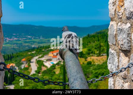 pigeon on a cannon at sokol fortress in Croatia Stock Photo