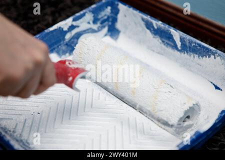 smearing paint roller in bucket with squeegee before painting wall Stock Photo