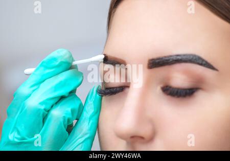 makeup artist applies paint henna on eyebrows in a beauty salon. Professional care for face. Stock Photo