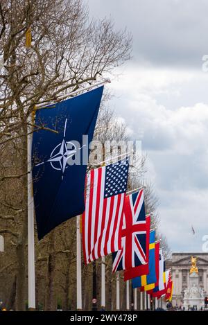 NATO 75th anniversary flags celebration in The Mall, London, UK. Flags ...