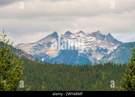 A glaciated, serrated mountain crest with white ice fields rises above a dark forest under gray cloud at North Cascades National Park, Washington. Stock Photo