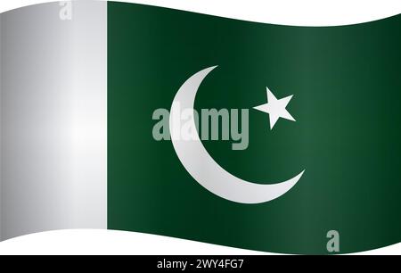 Pakistan flag Stock Vector