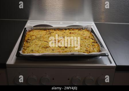 Cuisine, cooking, delicious vegetable casserole made of chopped cabbage, mushrooms, white onion, minced meat sprinkled with cheese. Stock Photo