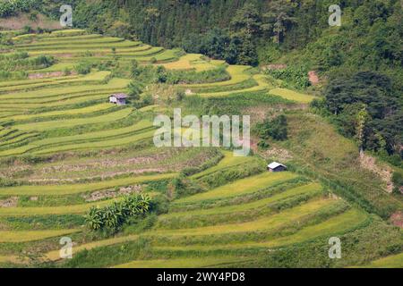 An aerial view of the rice terraces in Mu Cang Chai, Vietnam. Stock Photo