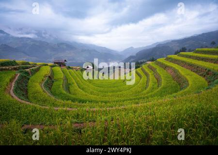 A bird's-eye view of Mong Ngua terraced fields in Mu Cang Chai, Vietnam. Stock Photo