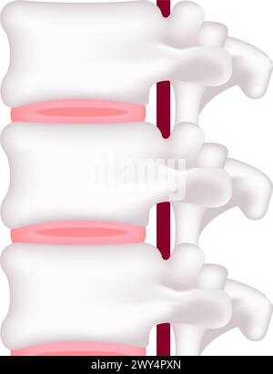 Vector illustration of normal disc Stock Vector