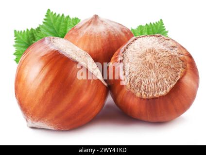 Three hazelnuts with green leaves isolated on white background. Stock Photo