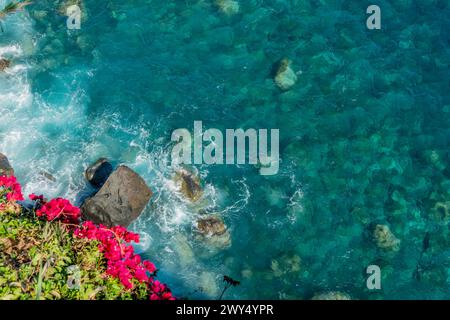 Drone view of rocks and bougainvillea flowerw with blue pristine sea with clear transparent water. Ocean background with copy space Stock Photo