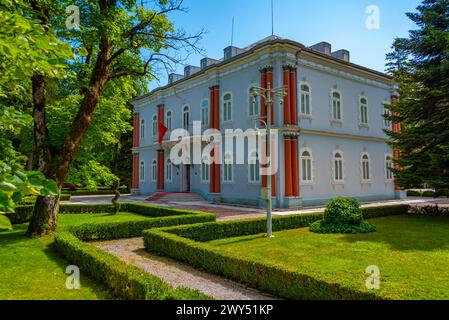 The Blue palace in Cetinje, Montenegro Stock Photo