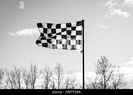 Chequered flag floating above the treetops in black and white Stock Photo