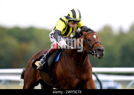File photo dated 13-10-2021 of Eldar Eldarov ridden by David Egan. Dual St Leger winner Eldar Eldarov has likely run his last race as he recovers from a neck injury sustained in the stalls at the Dubai World Cup. Issue date: Thursday April 4, 2024. Stock Photo
