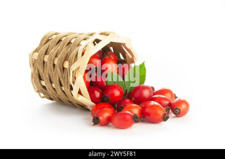 Fresh ripe rosehips in basket isolated on white background, healthy food concept ( rosa canina ) Stock Photo