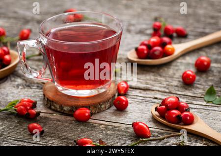 Rosehip glass cup of herbal tea medicinal plants with rosehip fruits on rustic table. Dogrose winter tea background Stock Photo