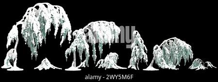3d illustration of set Cedrus atlantica Glauca Pendula snow covered tree isolated on black background Stock Photo