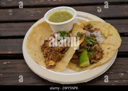 Tortilla mit Pulled Beef *** Tortilla with pulled beef Stock Photo