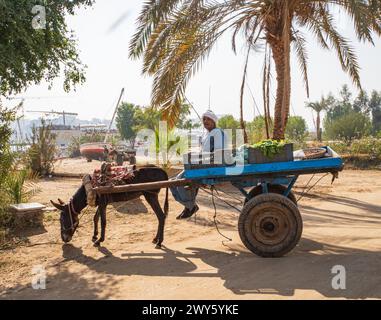 Nile River Egypt Farm Farmer agriculture field old village on the nile ...