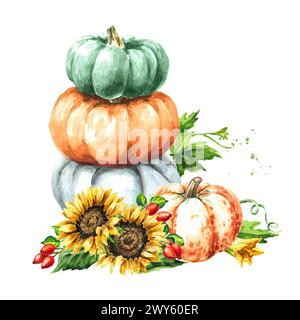 Stack of pumpkins, Hand drawn watercolor illustration, isolated on ...