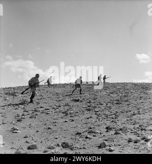 THE POLISH ARMY IN THE SIEGE OF TOBRUK, 1941 - Troops of the Polish Independent Carpathian Rifles Brigade advancing across open desert. , Polish Army, Polish Armed Forces in the West, Independent Carpathian Rifles Brigade, Rats of Tobruk Stock Photo