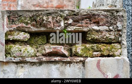 Crumbling brickwork in an ancient wall with moss growing over. Stock Photo