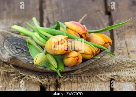 orange tulips on wooden background Stock Photo