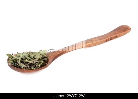 Wooden spoon with dried thyme leaves isolated on white background. Food seasonings. Stock Photo