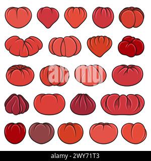 Set of color illustrations with red tomatoes. Isolated vector objects on white background. Stock Vector