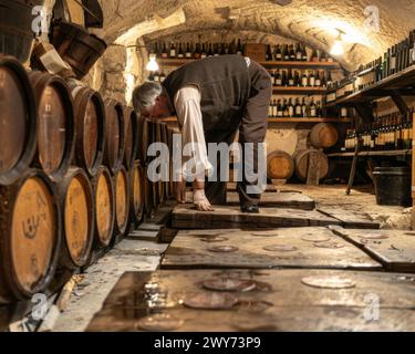 A man stooping down in a wine cellar surrounded by wine bottles. Stock Photo