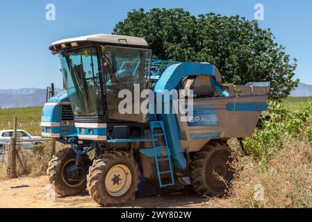 Riebeek West, Western Cape, South Africa.  27. 02. 2024.  Grape harvesting  machine in a vineyard in the Swartland region of South Africa. Stock Photo