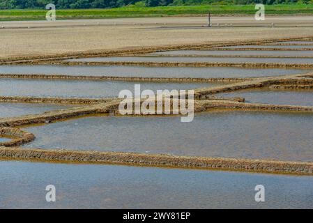 View of the Secovje Saltpans Nature Park in Slovenia Stock Photo