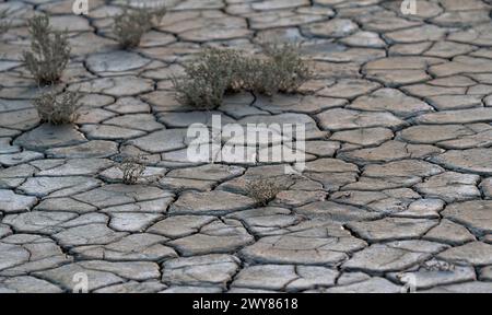 The concept of global warming. Dry cracks in the land, severe water scarcity. The concept of drought Stock Photo