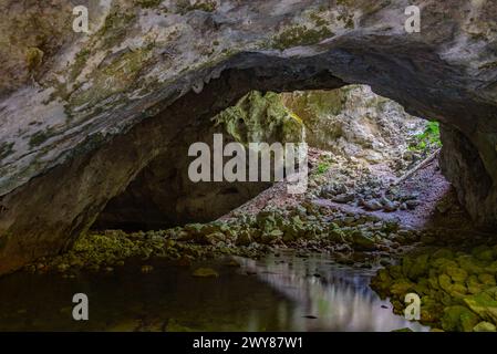 Zeljske jamy caves at Rakov Skocjan natural park in Slovenia Stock ...