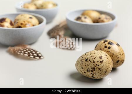 Bowls with fresh quail eggs and feathers on grey background Stock Photo