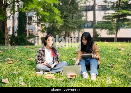 Two young Asian female college students are sitting on the grass in a park, using a laptop together, discussing something while studying or working on Stock Photo