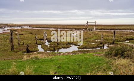 Marshland near Thornham Old Harbour, Norfolk, England, UK Stock Photo