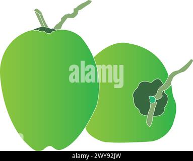 Young coconut icon vector illustration design Stock Vector