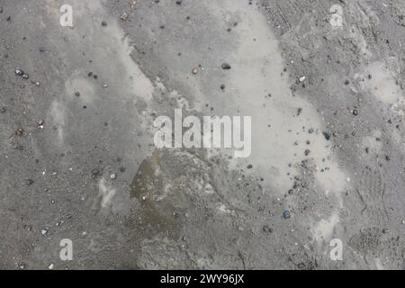 Mud and grass ground texture suitable for reference Stock Photo