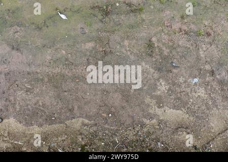 Mud and grass ground texture suitable for reference Stock Photo