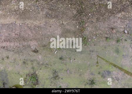 Mud and grass ground texture suitable for reference Stock Photo