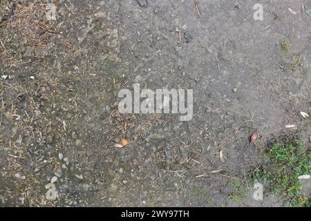 Mud and grass ground texture suitable for reference Stock Photo
