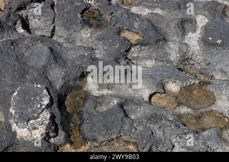 Rugged Limestone Rock Surface Texture Stock Photo