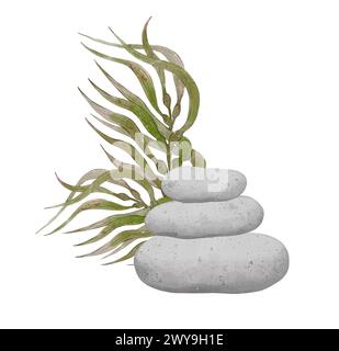 Composition with sea pebble with seaweed bush. Watercolor hand drawn illustration, isolated on white background for icon or logo. Print for cards or t Stock Photo
