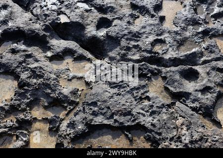 Weathered Coastal Rock Formation. Limestone Rock Formation Close-up Stock Photo