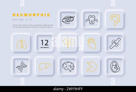 Organs Set Icon. Intestinal Tract, Stomach, Liver, Brain, Lungs, Embryo 