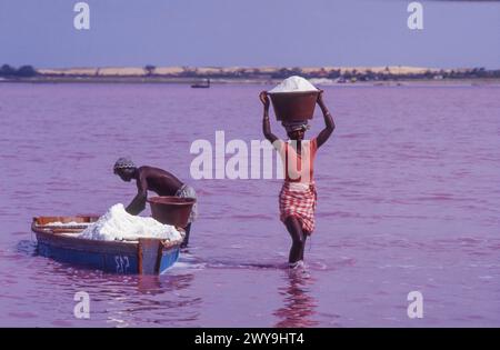 Senegal, 'harvest' of salt from Lake Retba, also known as Lac Rose (meaning "pink lake"). its pink waters caused by Dunaliella salina algae and known Stock Photo