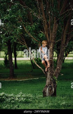 Wide view of small child sitting in branches of tree in summer Stock Photo