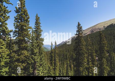 The Perfect Mountain View Through The Pines Stock Photo
